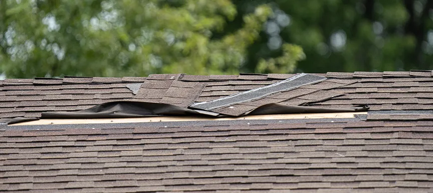 Damaged Shingles